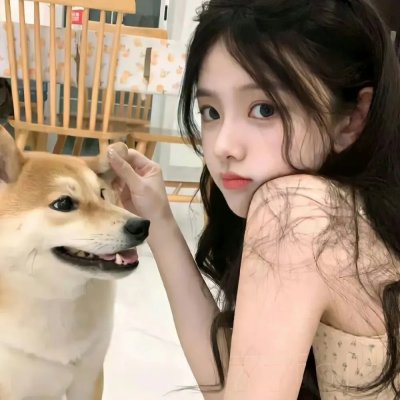 超完美狗保姆